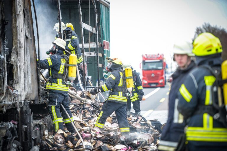 소방 공무원 채용